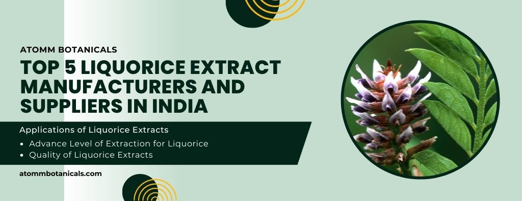 Top 5 Liquorice Extract Manufacturers and Suppliers in India