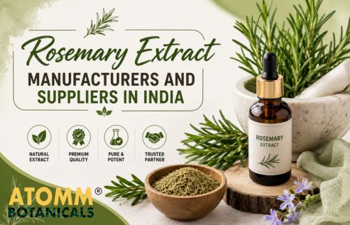 Rosemary Extract Manufacturers and Suppliers in India