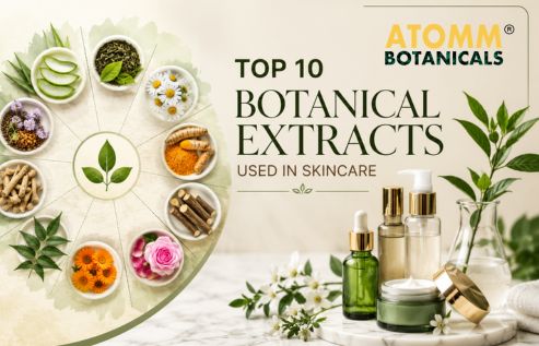 Top 10 Botanical Extracts Used in Skincare (Complete Guide)