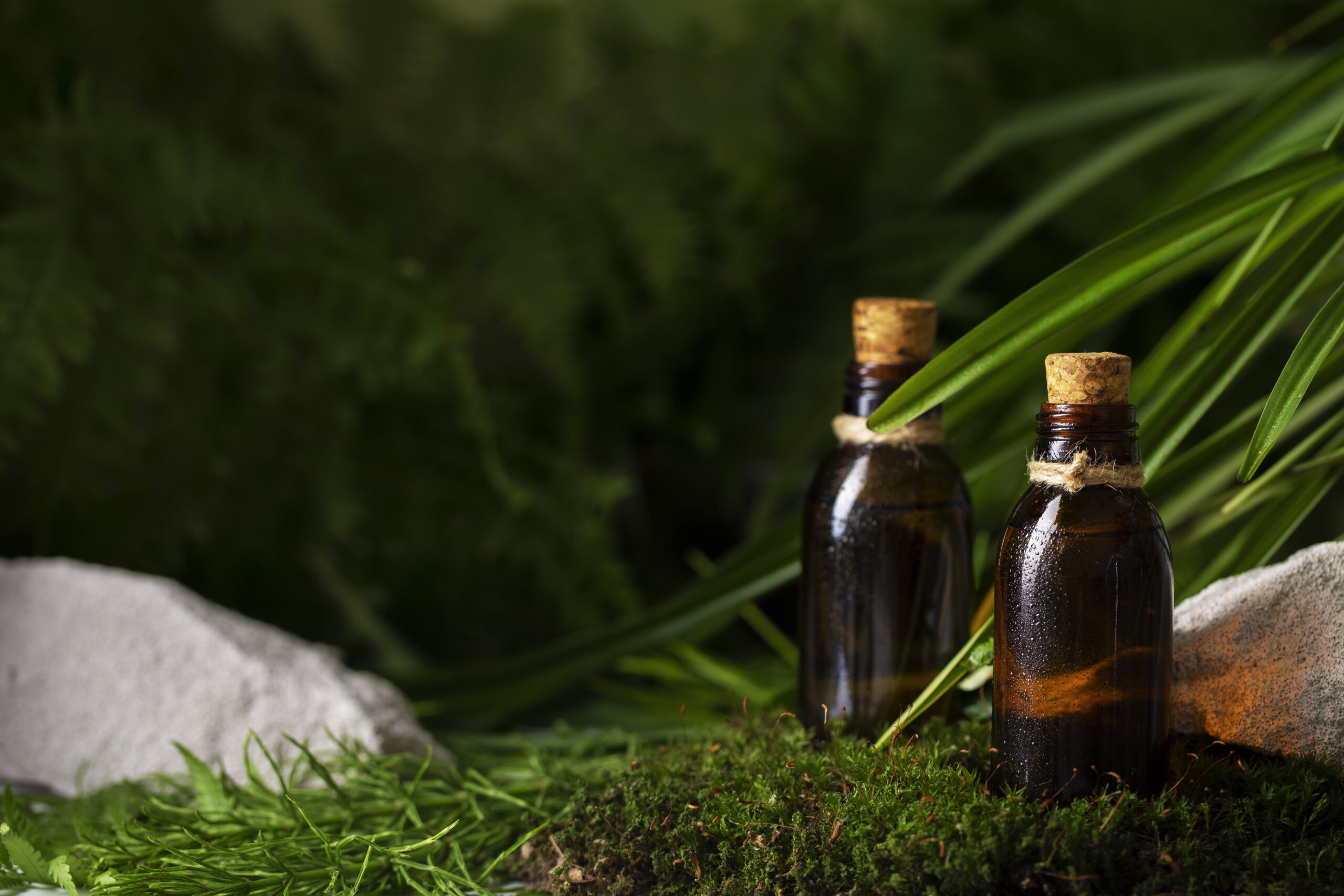 Best Botanical Extract Supplier